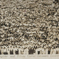 1932 Des Moines Register Carriers.jpg